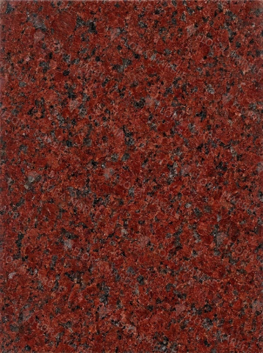 African Red